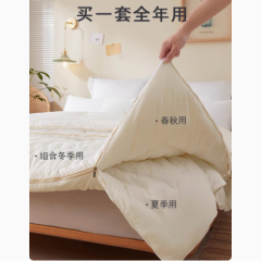 手工蚕丝被100桑蚕丝被子母被二合一拉链款双人冬被被芯四季通用
