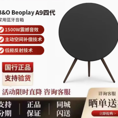 B&amp;O Beoplay a9 4代 Beosound A9 5代无线蓝牙HIFI音响丹麦音箱