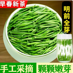 嫩芽正宗雀舌绿茶2024明前特级新茶贵州湄潭翠芽毛尖高山云雾茶叶