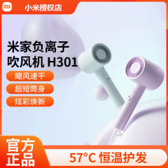 负离子吹风机H301家用大功率速干宿舍小型护发智能吹风筒
